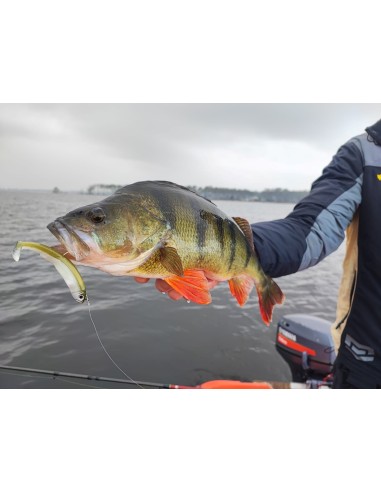 COMBO BLACK MINNOW 105 OFF SHORE 16G - KHAKI