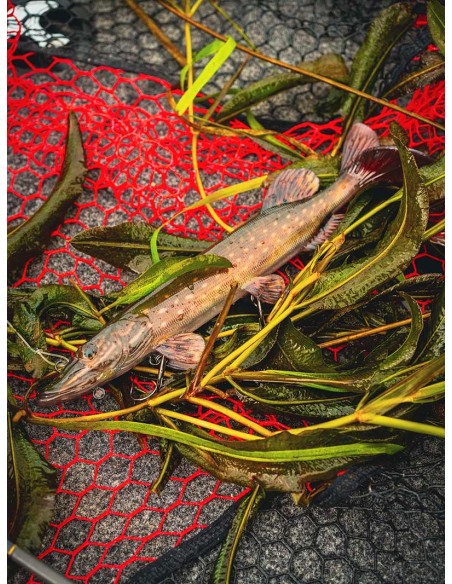 FOX RAGE ULTRA-REALISTIC PIKE REPLICANT 25CM