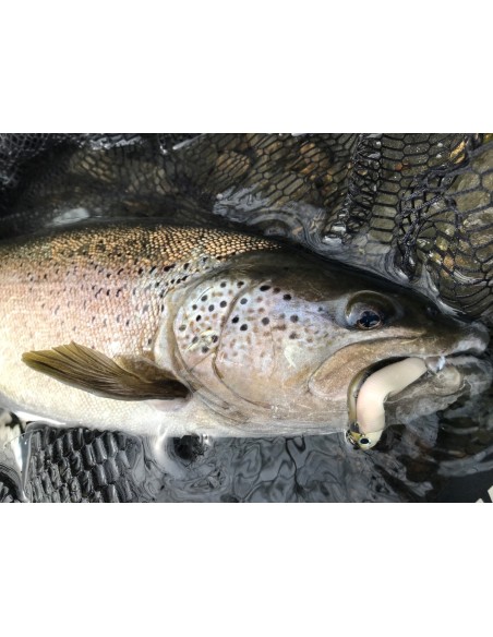 DOBLE COMBO BLACK MINNOW 70 SHORE 3G VAIRON