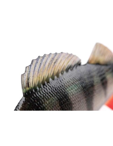 FOX RAGE ULTRA-REALISTIC PERCH REPLICANT 18cm 100g