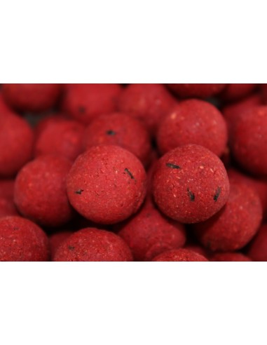 PRO ELITE BAITS BOILIES CLASSIC ROBIN RED 20MM...