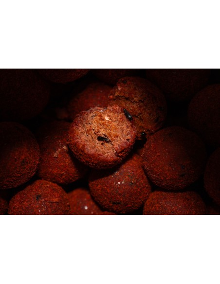 PRO ELITE BAITS BOILIES ROBIN RED GOLD 20MM 1KG