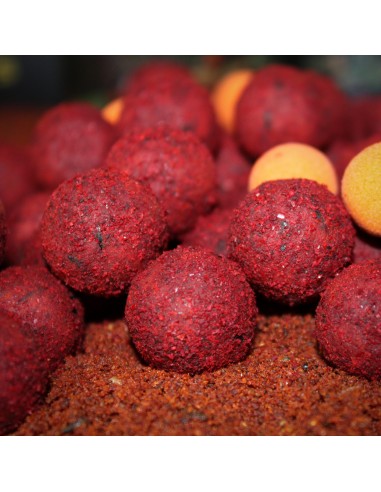 PRO ELITE BAITS BOILIES ROBIN RED GOLD 20MM 1KG
