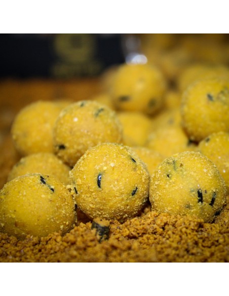 PRO ELITE BAITS BOILIES SWEET DREAMS GOLD 20MM 1KG