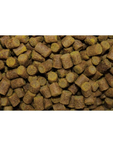 PRO ELITE BAITS PELLETS 6MM SWEET DREAMS GOLD 1KG