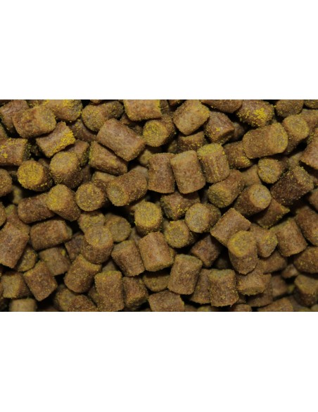 PRO ELITE BAITS PELLETS 6MM SWEET DREAMS GOLD 1KG