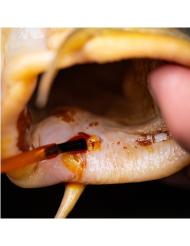 ANTISÉPTICO MEDICARP ANTIBACTERIAL PINCEL BRUSH