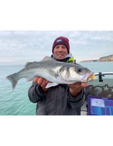 MASTER SHAD 100 COMBO LIGTH 8g PEARL BLUE