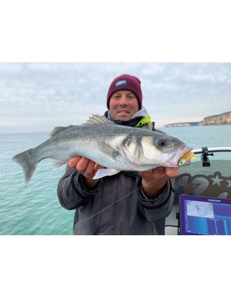 MASTER SHAD 100 COMBO LIGTH 8g PEARL BLUE