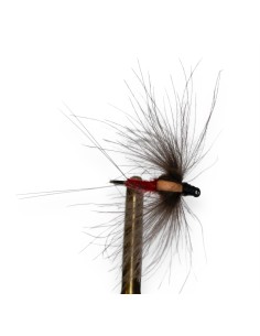 MOSCA BARON ROJO AF 2