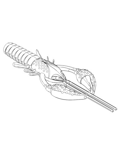 CANGREJO HART SPY CRAW