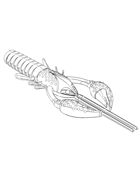 CANGREJO HART SPY CRAW