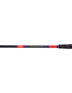CAÑA DAIWA MEGAFORCE BIG FISH 2M 80-180g 2