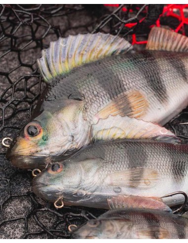 FOX RAGE ULTRA-REALISTIC PERCH REPLICANT 10cm 19g