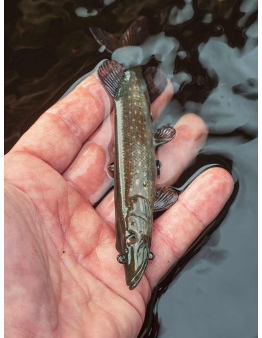 FOX RAGE ULTRA-REALISTIC PIKE REPLICANT 32CM