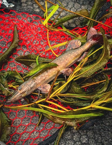 FOX RAGE ULTRA-REALISTIC PIKE REPLICANT 40CM