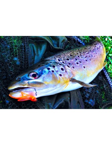 POWER BAIT BERKLEY POWERBAIT® POWER NYMPHS