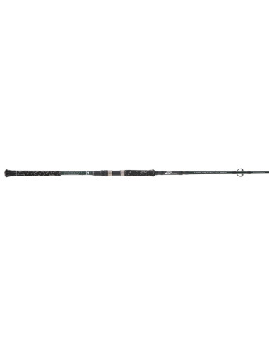 CAÑA CINNETIC ARMED CATFISH SPIN 220XH - 250G
