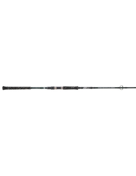 CAÑA CINNETIC ARMED CATFISH SPIN 220XH - 250G