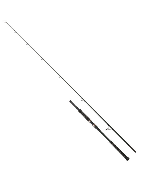 CAÑA CINNETIC ARMED CATFISH SPIN 220XH - 250G
