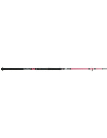 CAÑA CINNETIC MAGLINE CATFISH SPIN 220XH - 180G