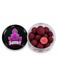 TACTICA BAITS THE BIG BOSS SQUIDY HOOKBAITS 20MM 200ML 2