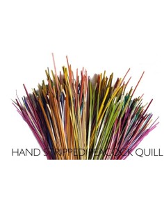 POLISH QUILLS DESBARBADO