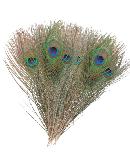 PLUMAS OJO DE PAVO REAL