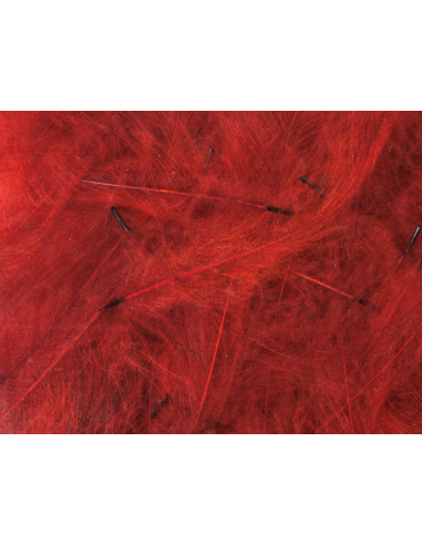 CDC PETITJEAN-1 GR. Nº 15 RED