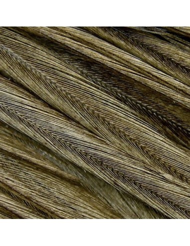 PAQ 12 PLUMAS COLGADERA GRIS CLARO