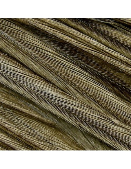 PAQ 12 PLUMAS COLGADERA GRIS CLARO