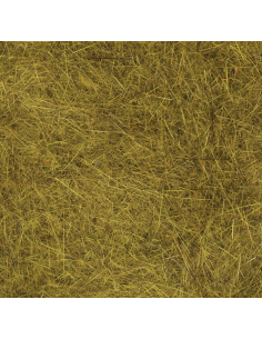 DUBBING DE LIEBRE OLIVA CASTOR 2