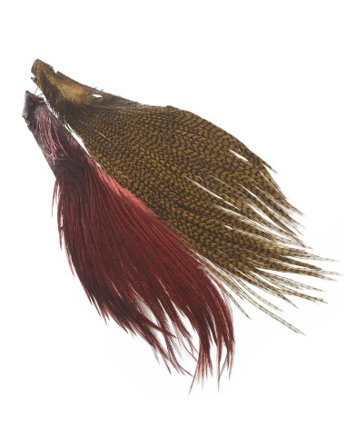 CUARTO DE CUELLO HARELINE