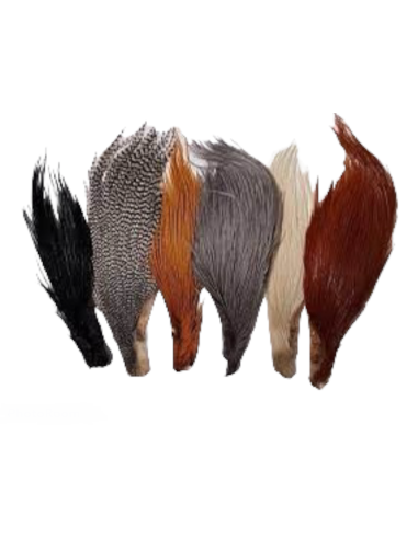 CUARTO DE CUELLO HARELINE