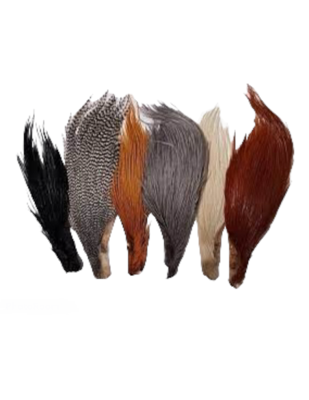 CUARTO DE CUELLO HARELINE