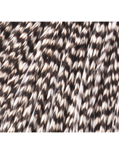 CUARTO DE CUELLO HARELINE