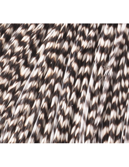 CUARTO DE CUELLO HARELINE