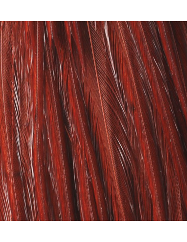 CUARTO DE CUELLO HARELINE