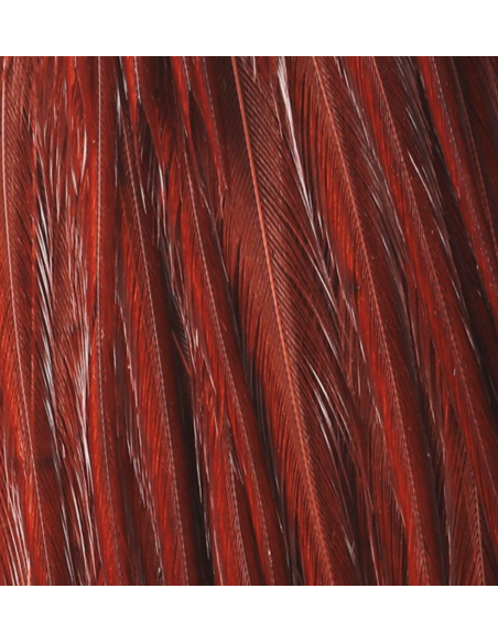 CUARTO DE CUELLO HARELINE