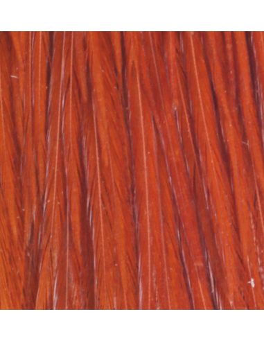 CUARTO DE CUELLO HARELINE