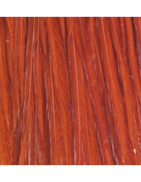 CUARTO DE CUELLO HARELINE