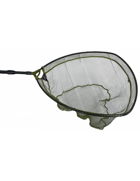 CABEZA SACADERA WYCHWOOD SPECIMEN