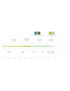 LINEA AMPLITUDE TROUT WF4F 2