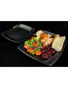 RIDGEMONKEY SQ DLX LARGE PLATE SET 2