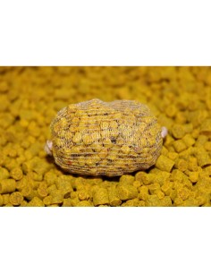 PRO ELITE BAITS SPOD MIX PIÑA & SCOPEX PELLETS 8MM 2