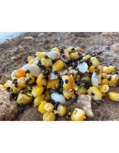 PARTICLES FOR FISHING ULTIMATE MIX 1KG