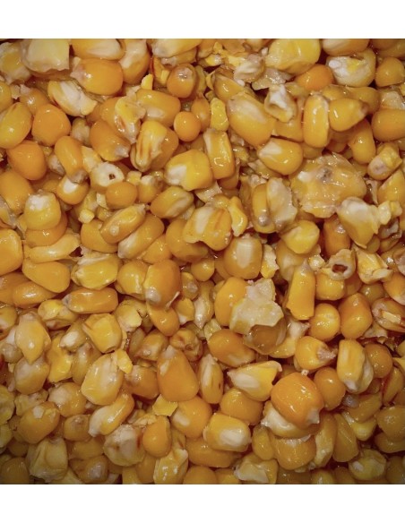 PARTICLES FOR FISHING MAIZ COCIDO 1KG