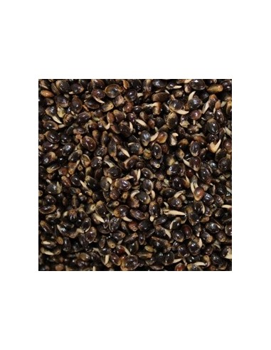 PARTICLES FOR FISHING CAÑAMON COCIDO 1KG