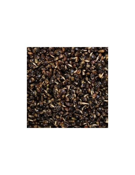 PARTICLES FOR FISHING CAÑAMON COCIDO 1KG