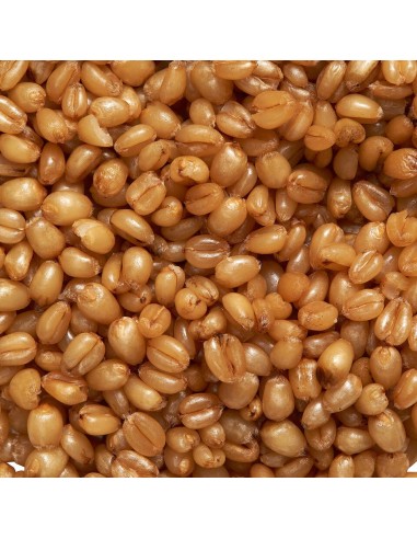 PARTICLES FOR FISHING TRIGO COCIDO 1KG